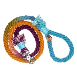 Blue Rainbow Leash