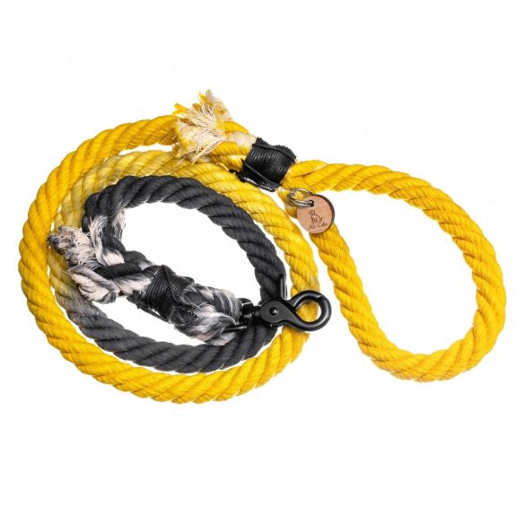 Black Yellow Leash