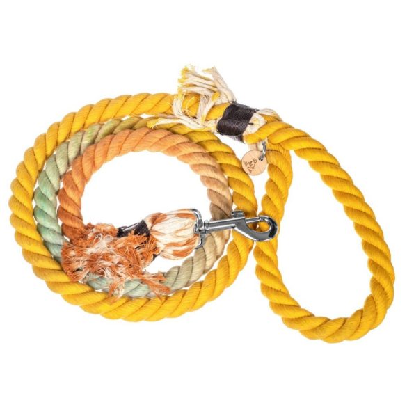 Multi Yellow Leash